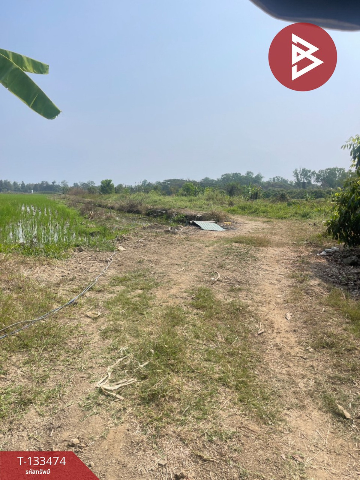 ขายที่ดิน เนื้อที่ 2 ไร่ 2 งาน 30 ตร.วา สารภี เชียงใหม่ – รูปที่ 3