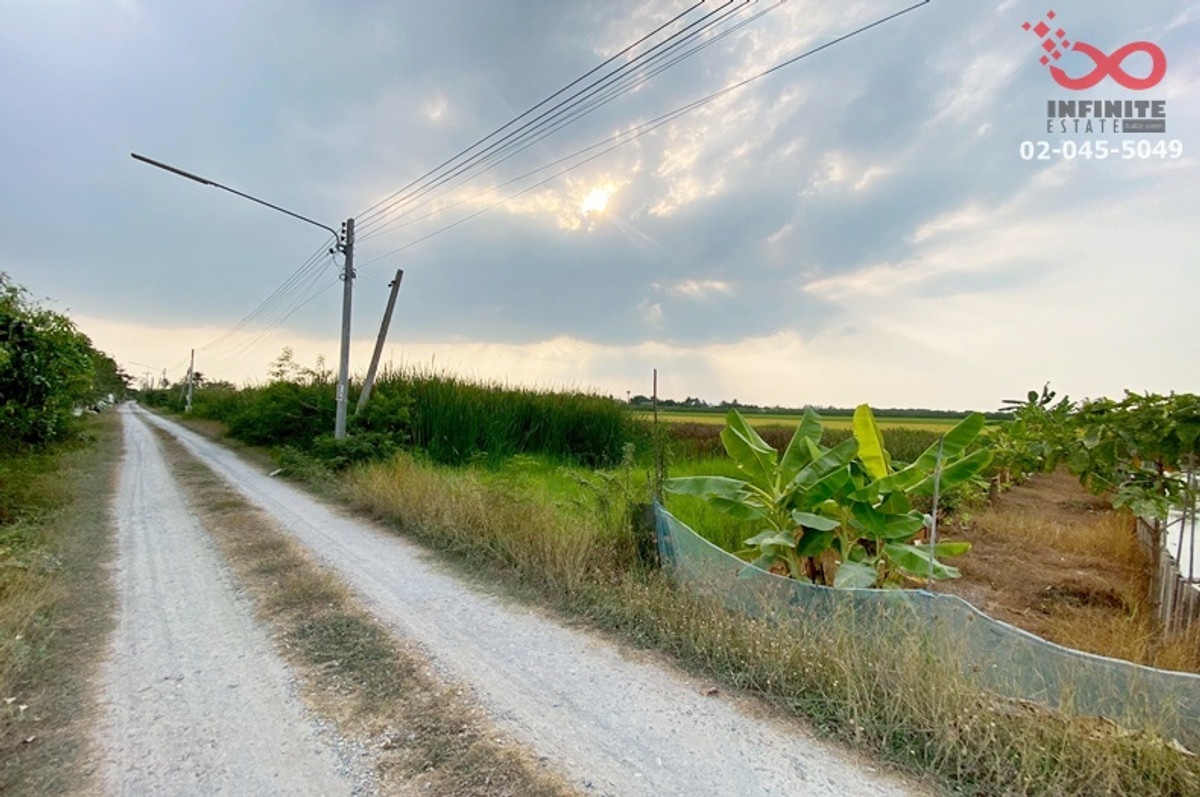 Land for sale 100 sq m near Chedi Hoi Temple. Liap Klong Yai Road, Lat Lum Kaeo, Pathum Thani, near Chedi Hoi Temple. – รูปที่ 3