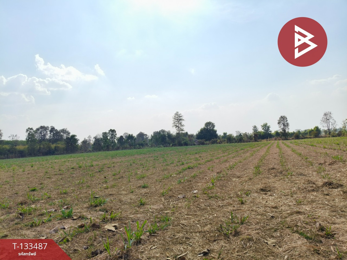 ขายที่ดิน เนื้อที่ 11 ไร่ 3 งาน 39 ตร.วา พลับพลาชัย บุรีรัมย์ – รูปที่ 2