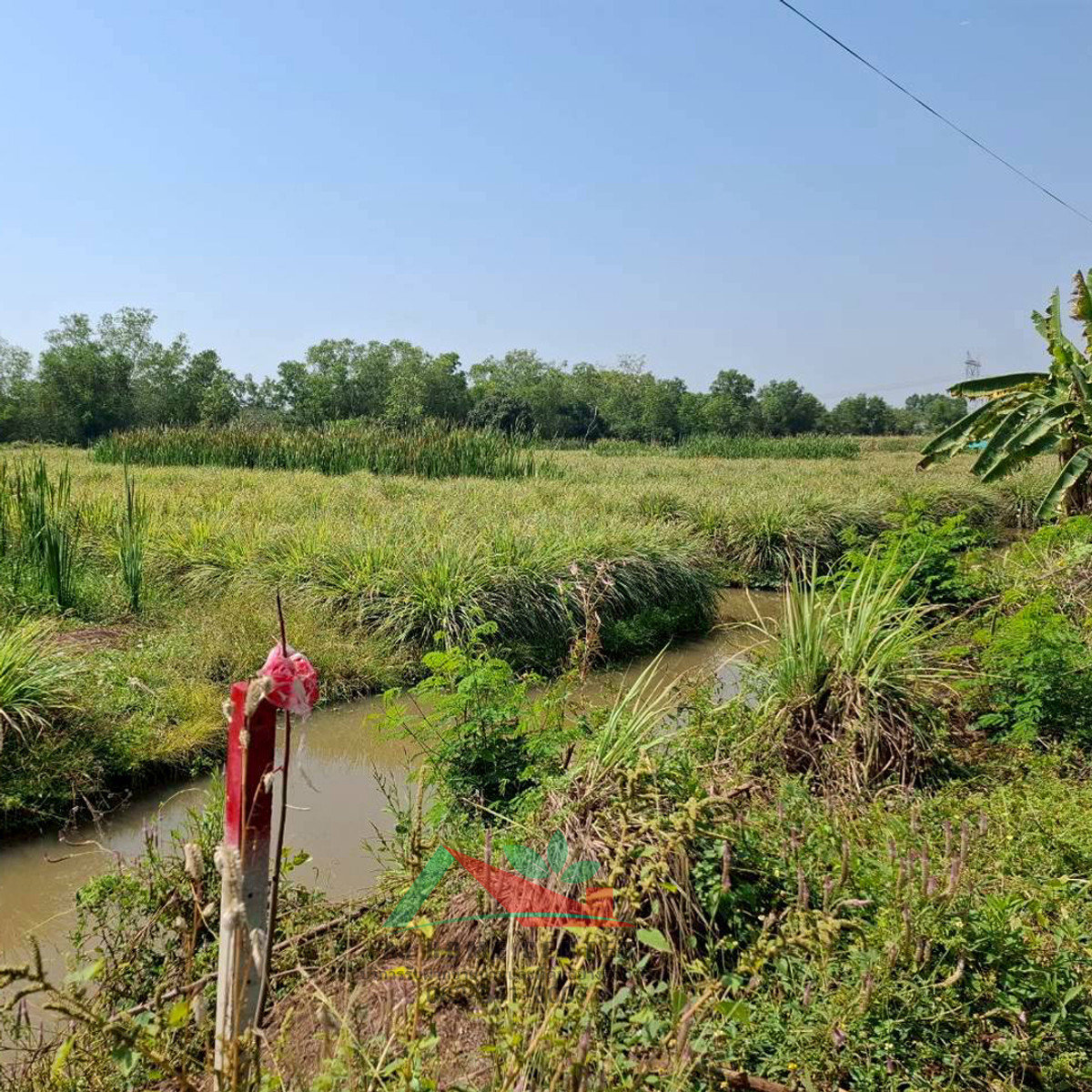 Empty land for sale 800 sq m. Rd. along Khlong Nong Suea, Khlong 8. Price ready to negotiate. – รูปที่ 4