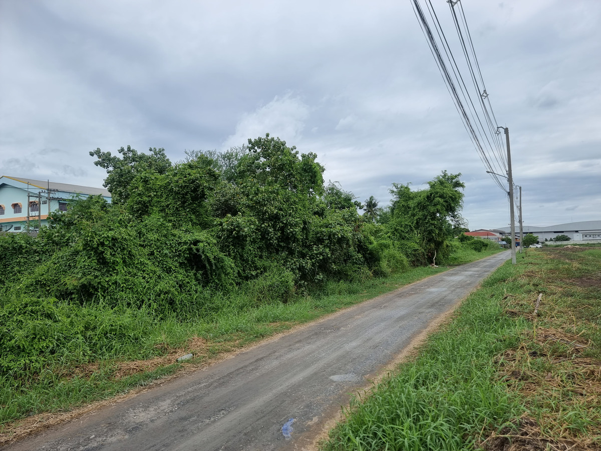 Land for sale, 3 rai, Soi Saeng Prathip, Bo Din Road, Pho Chae, Samut Sakhon, width 160 meters. – รูปที่ 2