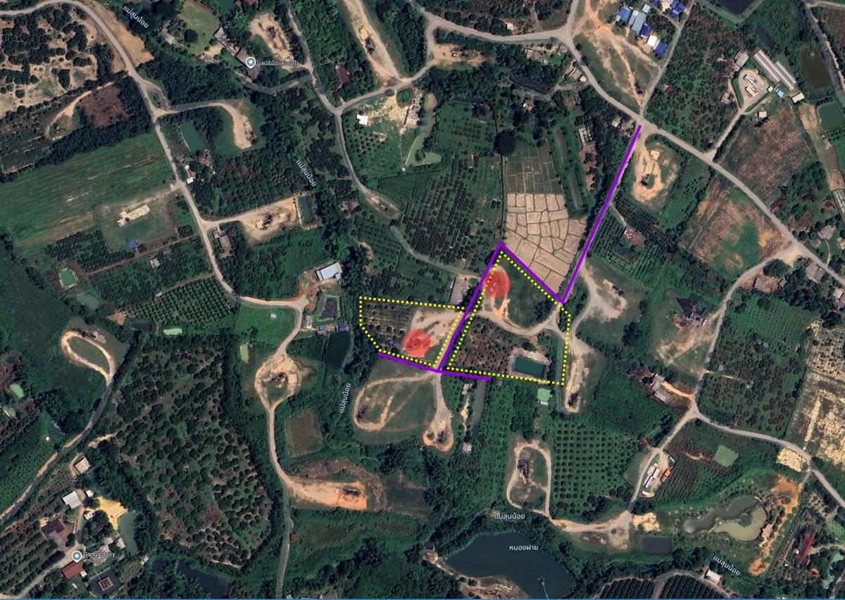 Selling land for income  (Red Garuda Title Deed) Mae Sun Subdistrict, Fang District, Chiang Mai Province – รูปที่ 3