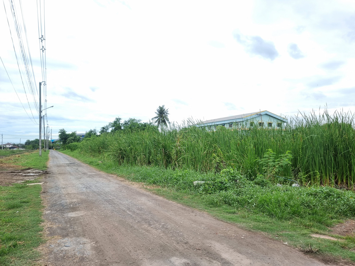 Land for sale, 3 rai, Soi Saeng Prathip, Bo Din Road, Pho Chae, Samut Sakhon, width 160 meters. – รูปที่ 3