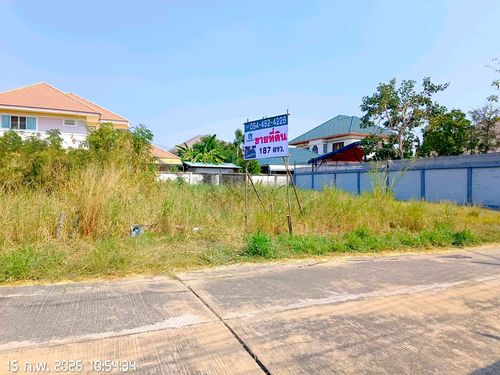 Selling cheap! Land 187 sq m (2 adjacent plots), Rim Ping Niwet Project, Nakhon Sawan, only 2.4 million baht, average of 10,000 baht per sq m, prime location near the Ping River.