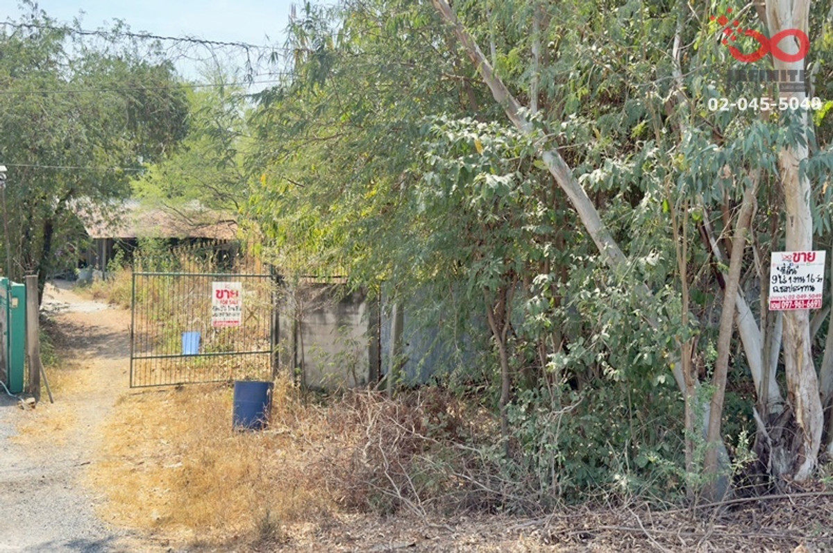 Land for sale with buildings, 9 rai 116 sq m., near Ban Pho Subdistrict Administrative Organization, Bang Pa-in, Ayutthaya. – รูปที่ 2