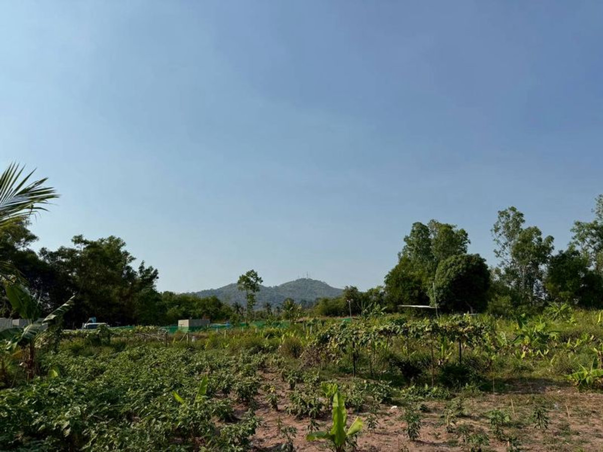 Land for sale in Sriracha, Na Phrao, Soi Lung Thum. Beautiful 1 rai plot of land, ideal for building a house. Land for sale in Sriracha, Na Phrao, Soi Lung Thum. Beautiful 1 rai plot of land, ideal for building a house.