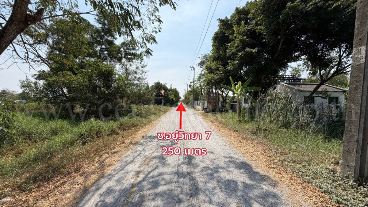 ที่ดินเปล่า 98 ตารางวา ซอยสังฆสันติสุข 38 หนองจอก กรุงเทพฯ ราคาถูก – รูปที่ 4