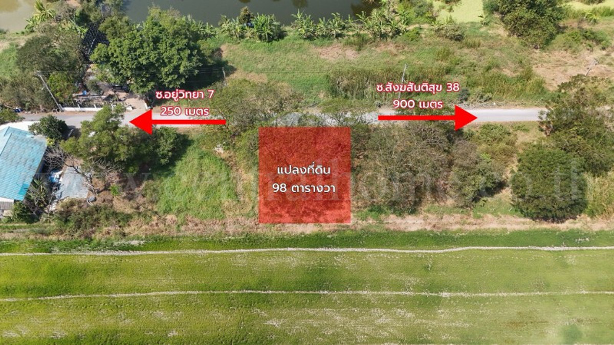 ที่ดินเปล่า 98 ตารางวา ซอยสังฆสันติสุข 38 หนองจอก กรุงเทพฯ ราคาถูก – รูปที่ 2