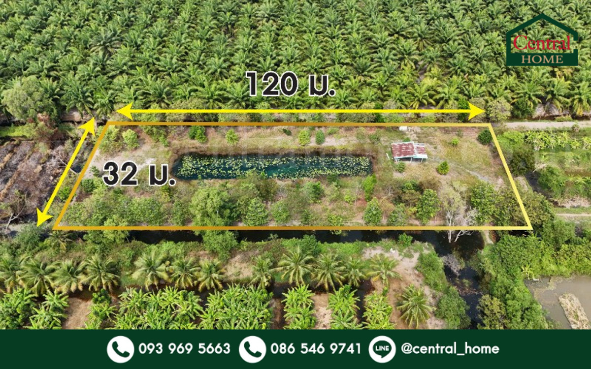 Empty land 2-1-60 rai, Khlong 12, Nong Suea, Pathum Thani. Empty land 2-1-60 rai, Khlong 12, Nong Suea, Pathum Thani.