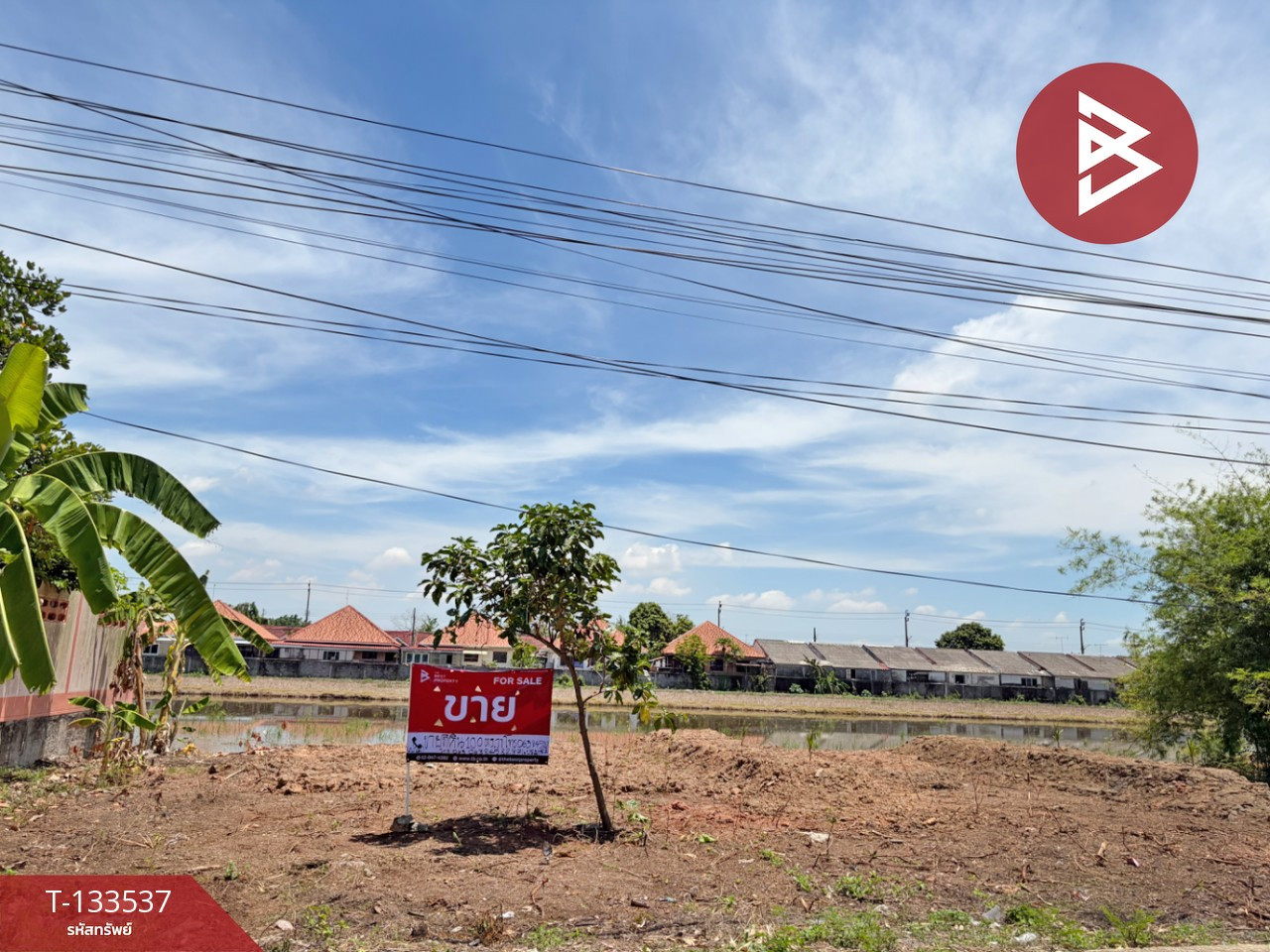 ขายที่ดิน ซ.สุวินทวงศ์61 เนื้อที่ 1 งาน หนองจอก กรุงเทพมหานคร – รูปที่ 3