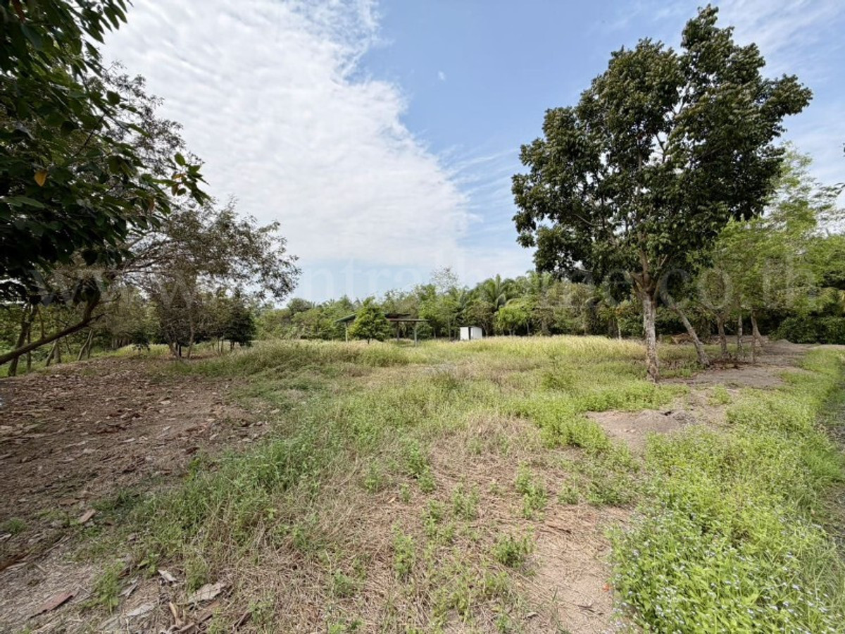 Empty land 2-1-60 rai, Khlong 12, Nong Suea, Pathum Thani. – รูปที่ 3