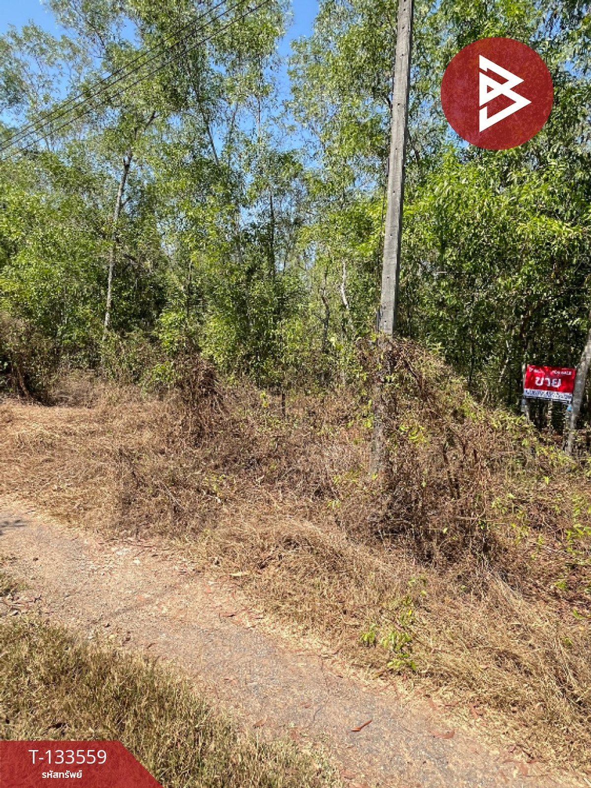ขายที่ดิน 2 แปลง เนื้อที่รวม 4 ไร่ หนองเสือ ปทุมธานี – รูปที่ 4