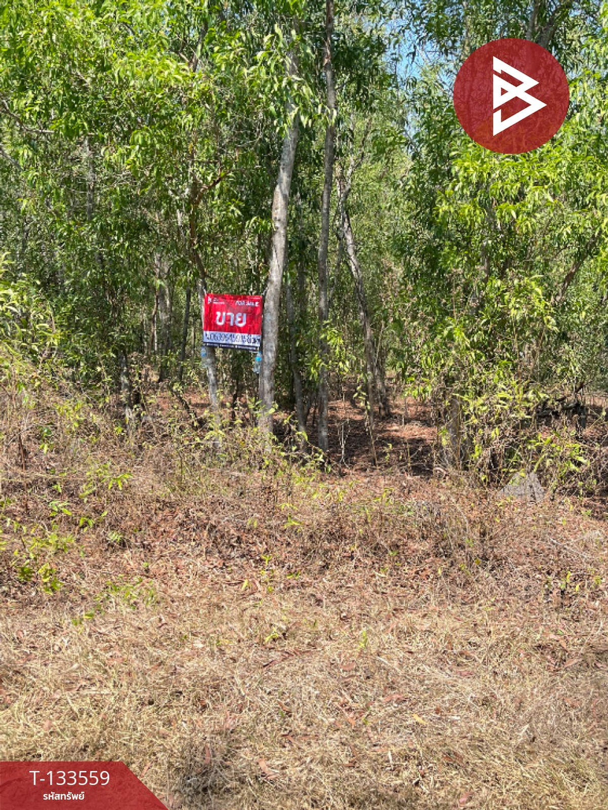 ขายที่ดิน 2 แปลง เนื้อที่รวม 4 ไร่ หนองเสือ ปทุมธานี – รูปที่ 2