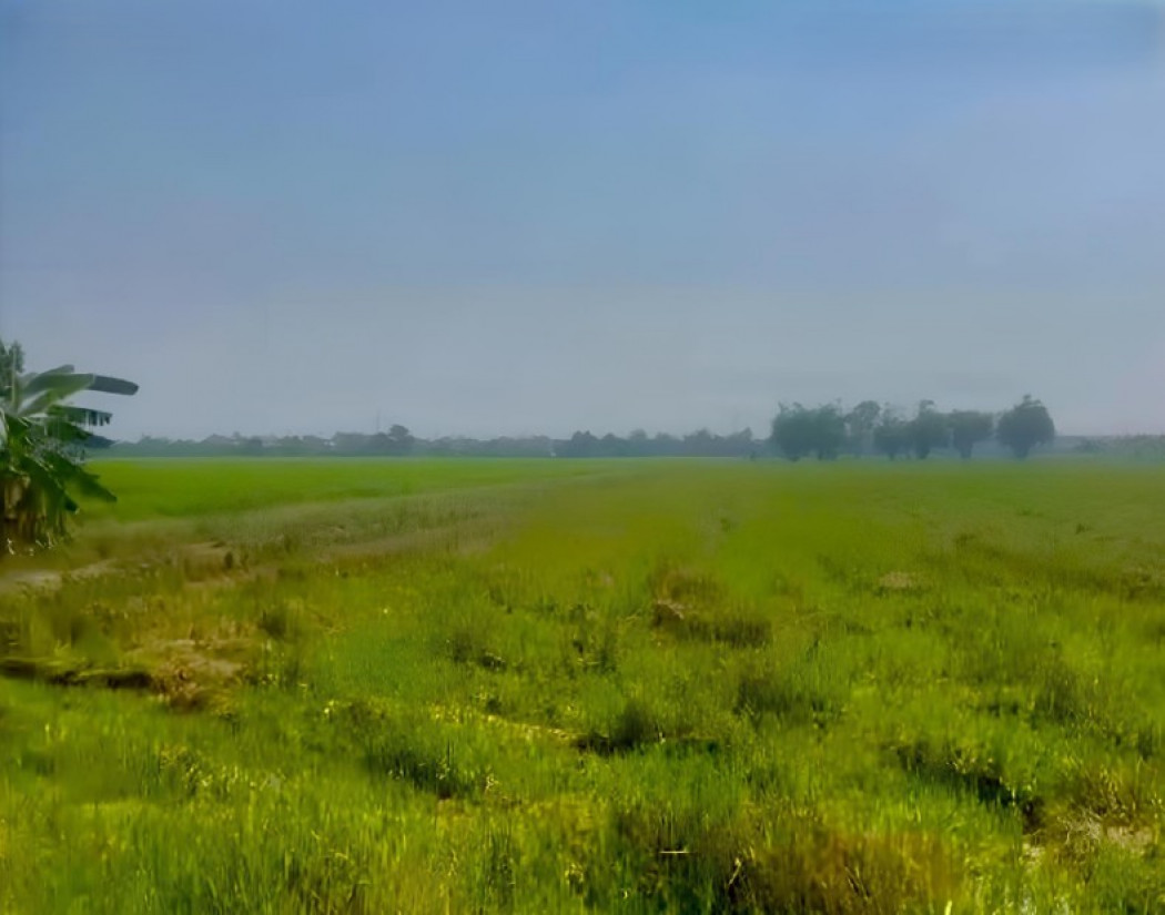 Land for sale 26-2-81 rai near Amornsub Village and Mahanakorn University of Technology – รูปที่ 2