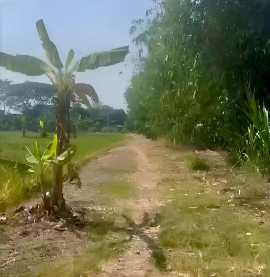 Land for sale 26-2-81 rai near Amornsub Village and Mahanakorn University of Technology – รูปที่ 3
