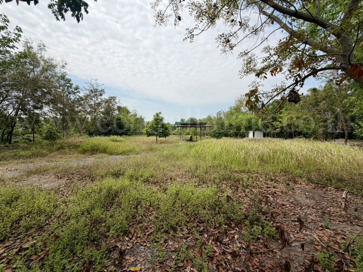 Empty land 2-1-60 rai, Khlong 12, Nong Suea, Pathum Thani. – รูปที่ 4