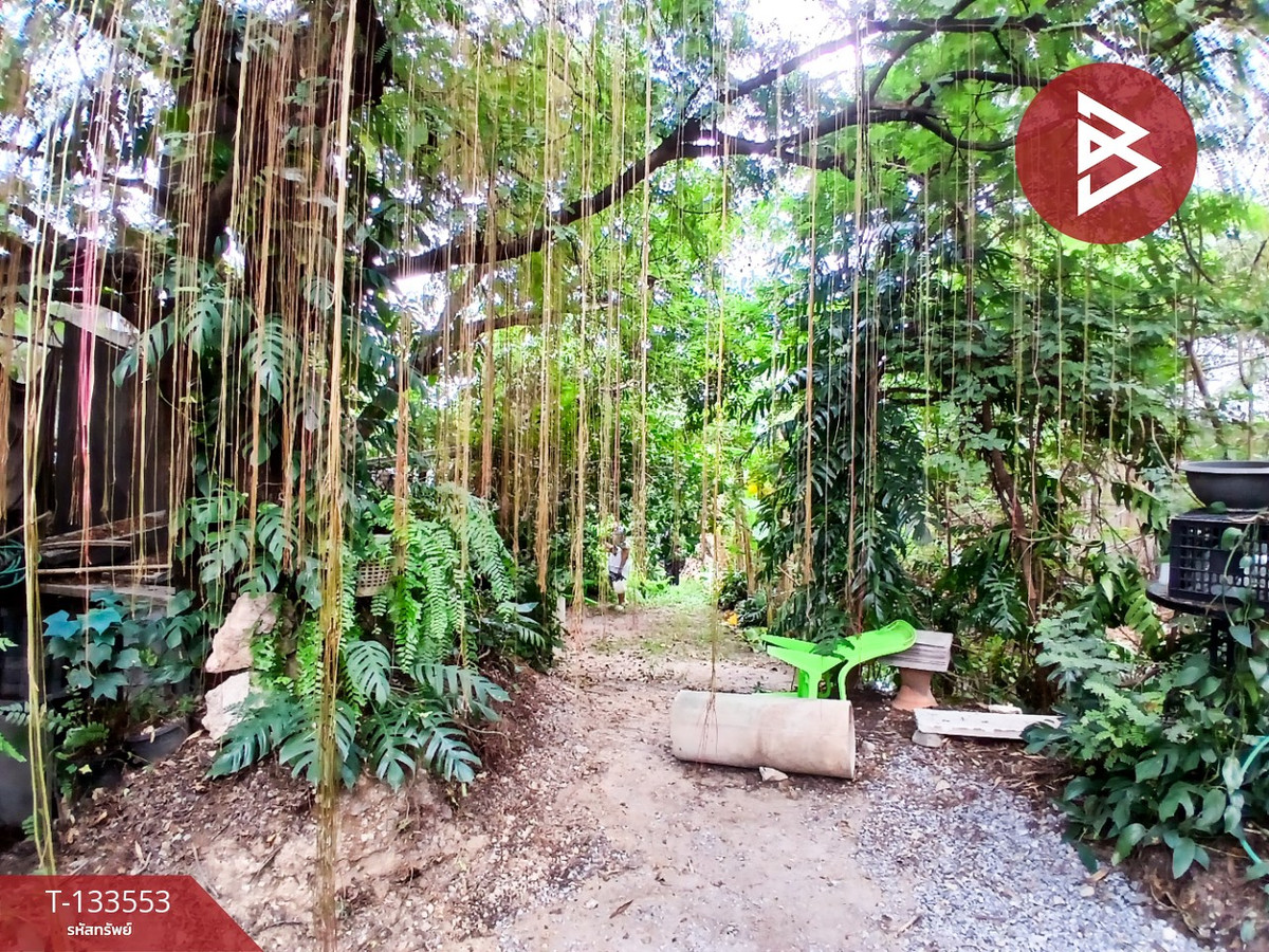 ขายที่ดิน เนื้อที่ 1 ไร่ 3 งาน 45 ตร.วา สวนผัก ตลิ่งชัน กรุงเทพฯ – รูปที่ 4