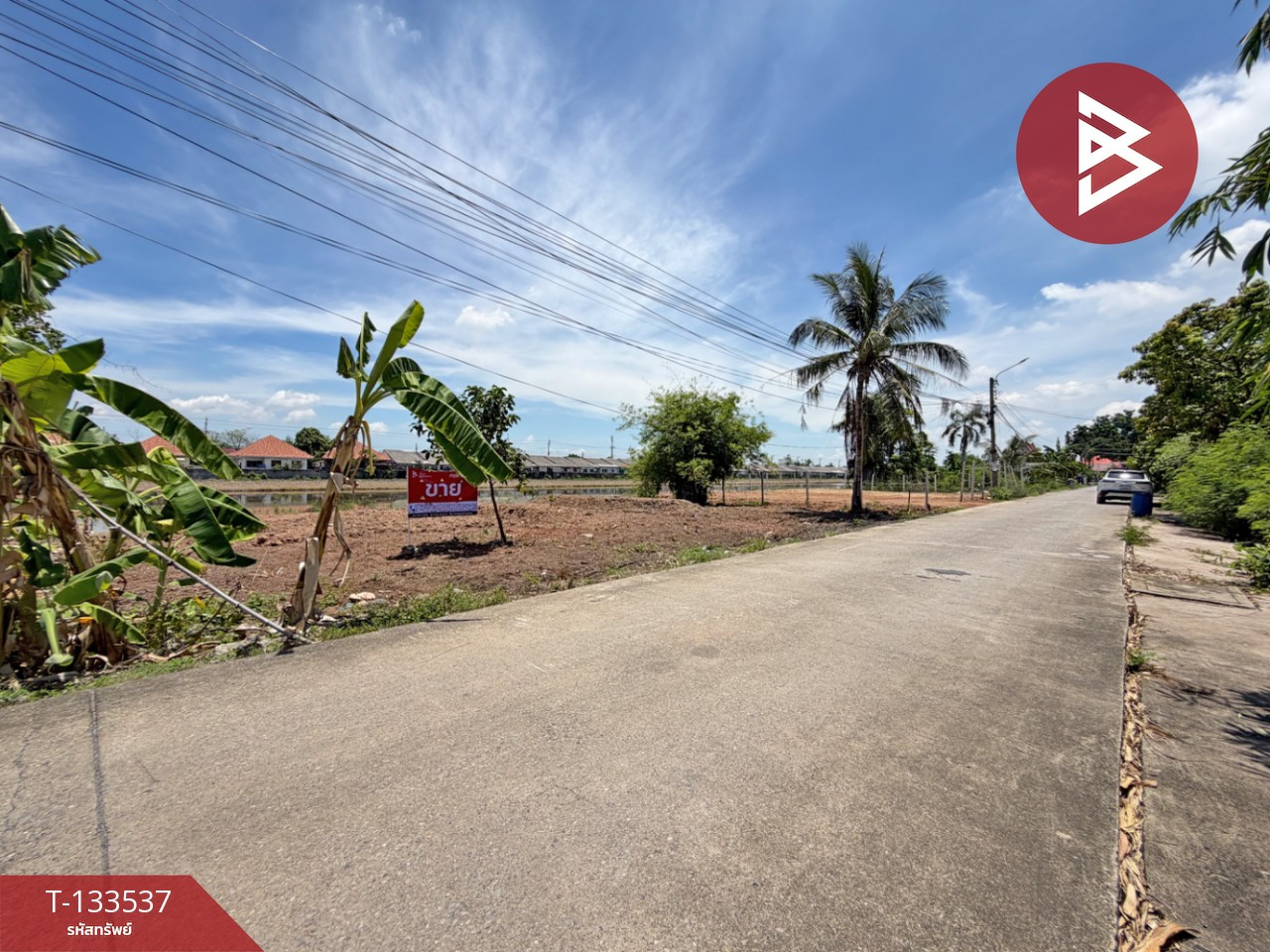 ขายที่ดิน ซ.สุวินทวงศ์61 เนื้อที่ 1 งาน หนองจอก กรุงเทพมหานคร – รูปที่ 4