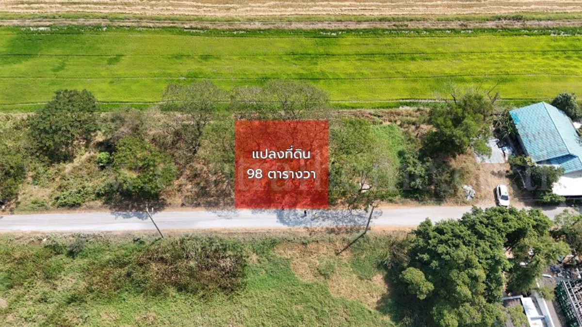 ที่ดินเปล่า 98 ตารางวา ซอยสังฆสันติสุข 38 หนองจอก กรุงเทพฯ ราคาถูก – รูปที่ 3