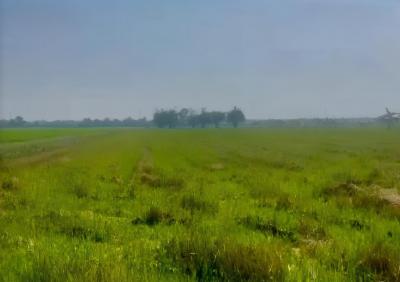 Land for sale 26-2-81 rai near Amornsub Village and Mahanakorn University of Technology