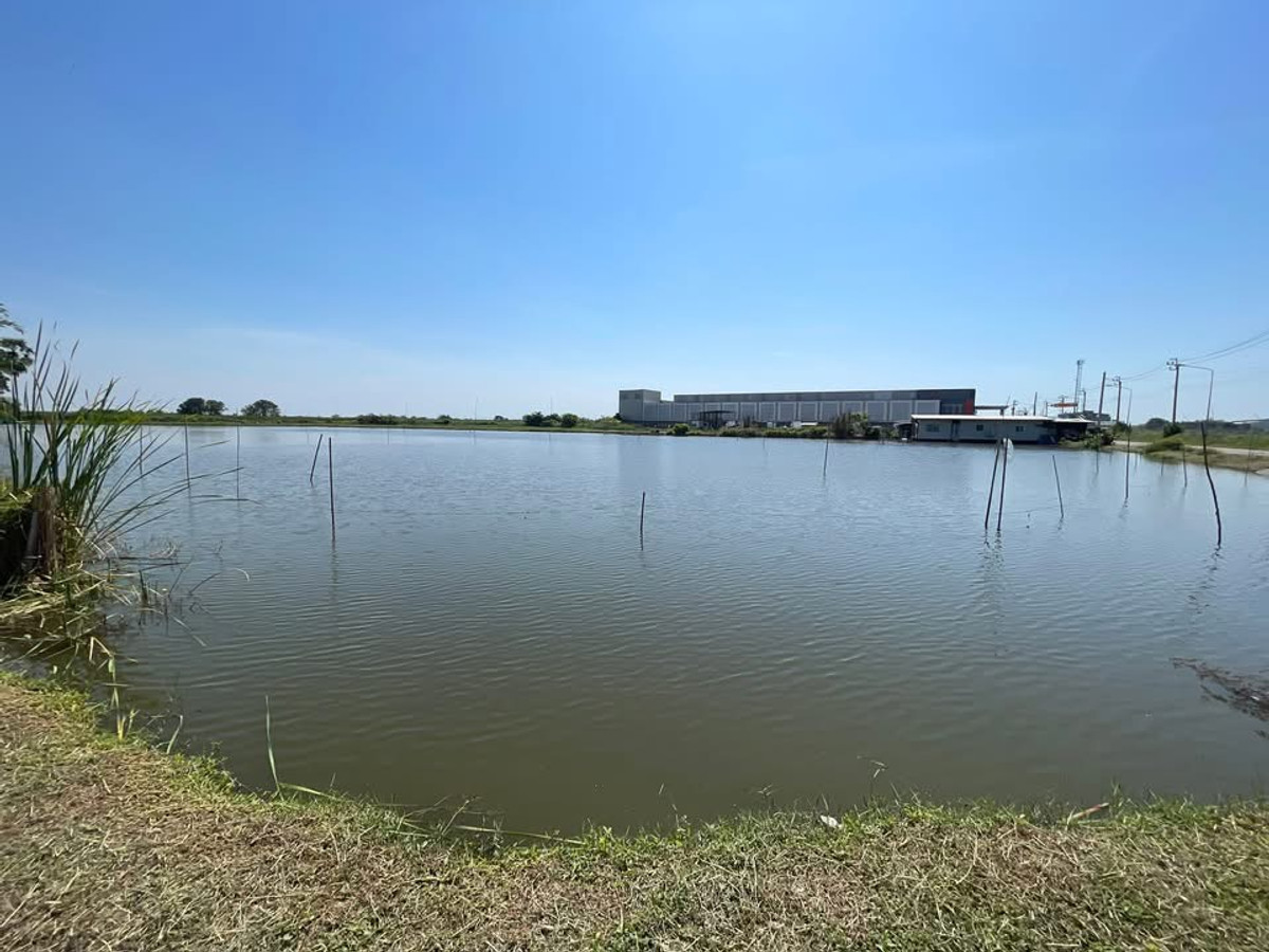Land for sale in Bang Pla (Khlong 7), Samut Prakan (Bang Pla Subdistrict, Bang Phli District, Samut Prakan). If interested, contact 082-3223695. – รูปที่ 2