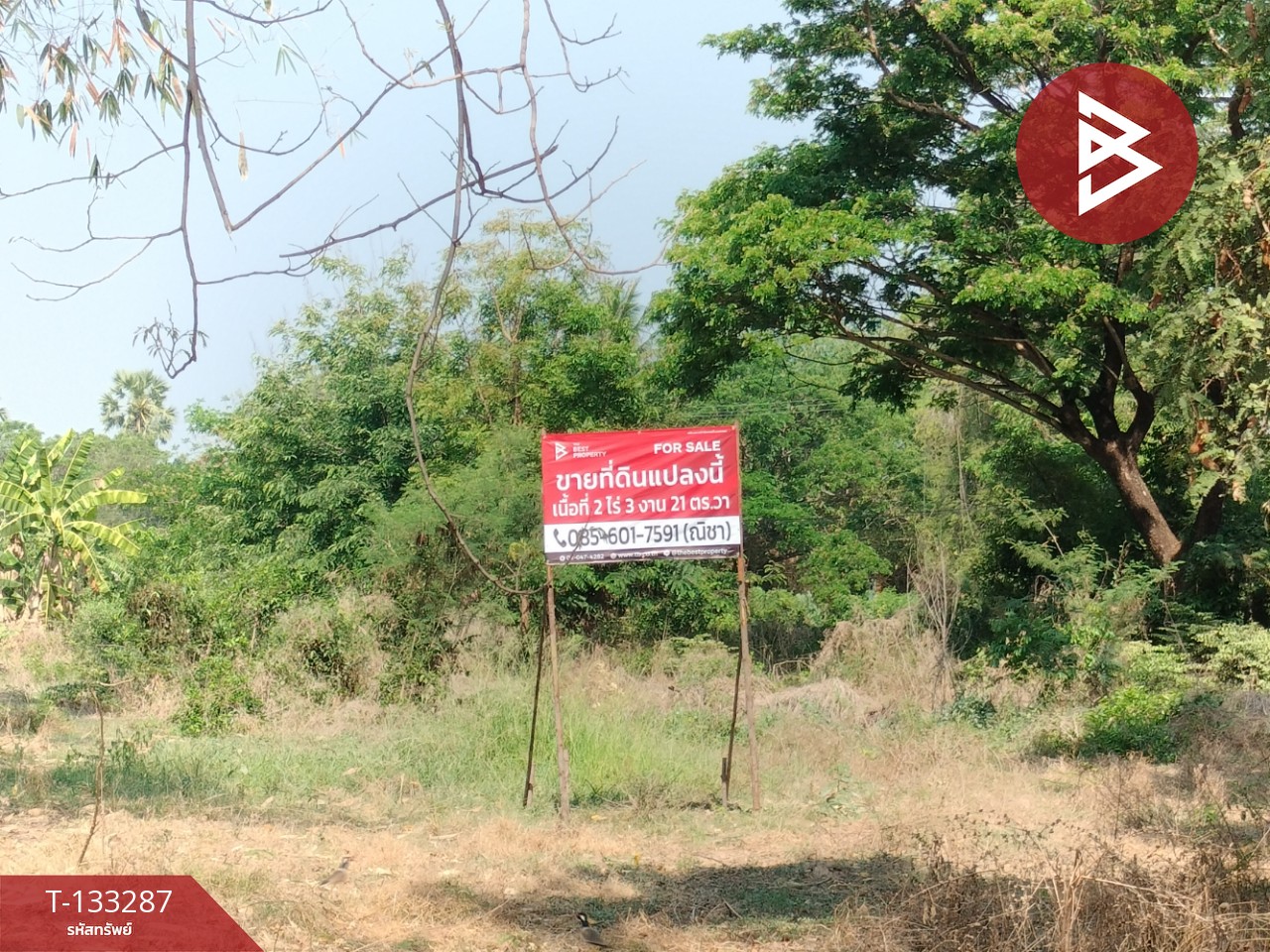Beautiful plot of land for sale, area 2 rai 3 ngan 21 square wa, Ban Don, Phitsanulok, cheap price. Beautiful plot of land for sale, area 2 rai 3 ngan 21 square wa, Ban Don, Phitsanulok, cheap price.