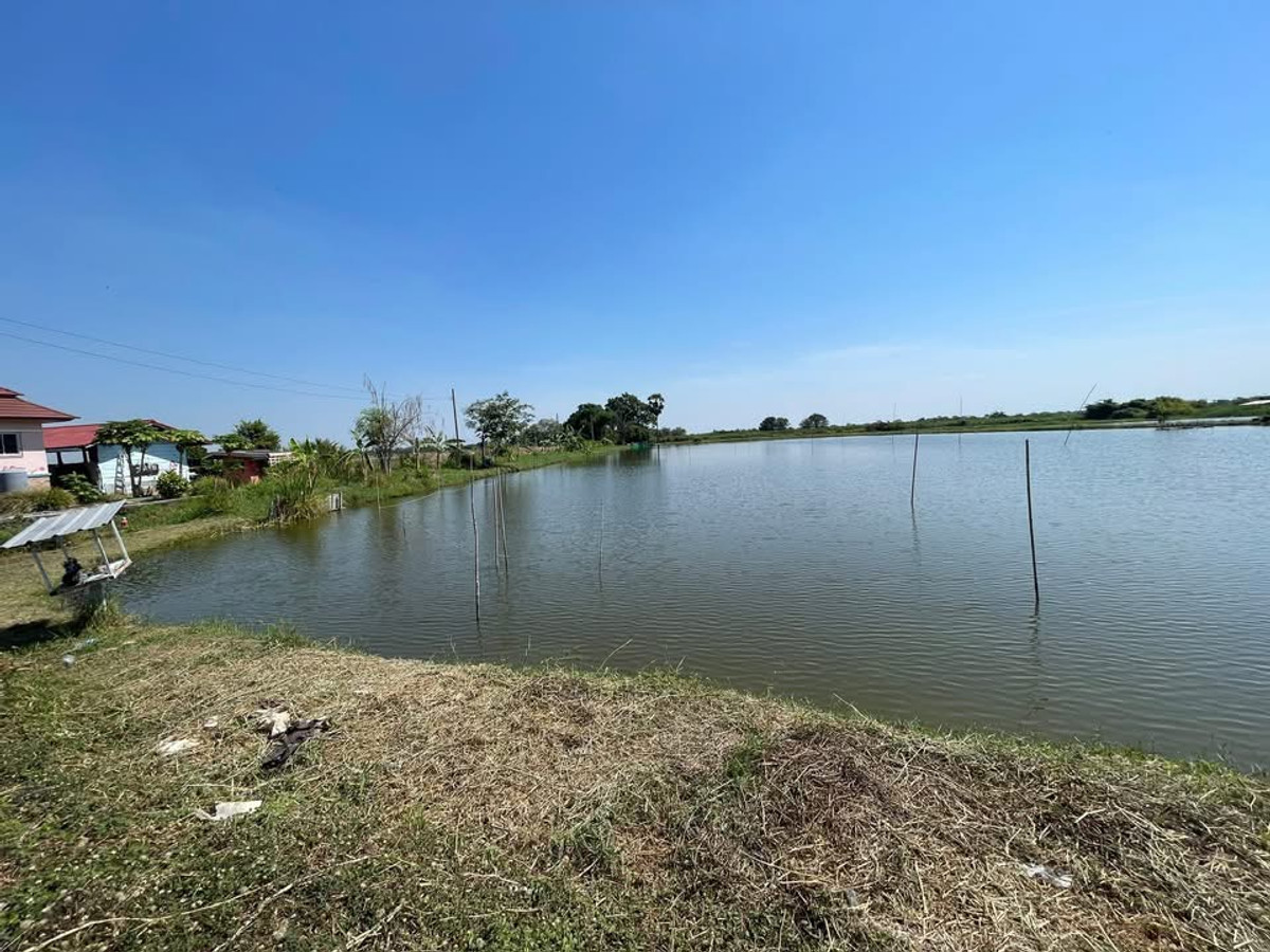 Land for sale in Bang Pla (Khlong 7), Samut Prakan (Bang Pla Subdistrict, Bang Phli District, Samut Prakan). If interested, contact 082-3223695.