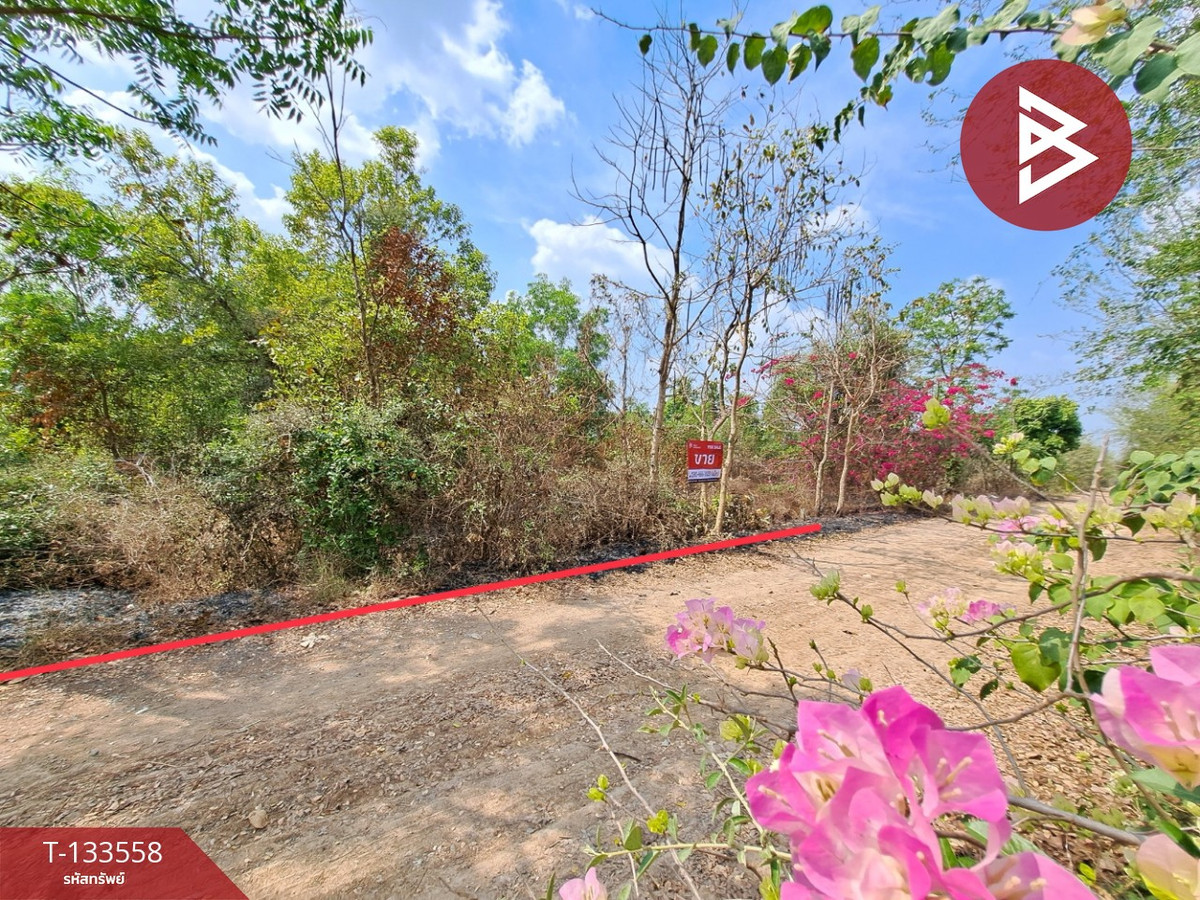 Land for sale, area 1 ngan 43 sq m, Bang Nam Priao, Chachoengsao. – รูปที่ 3