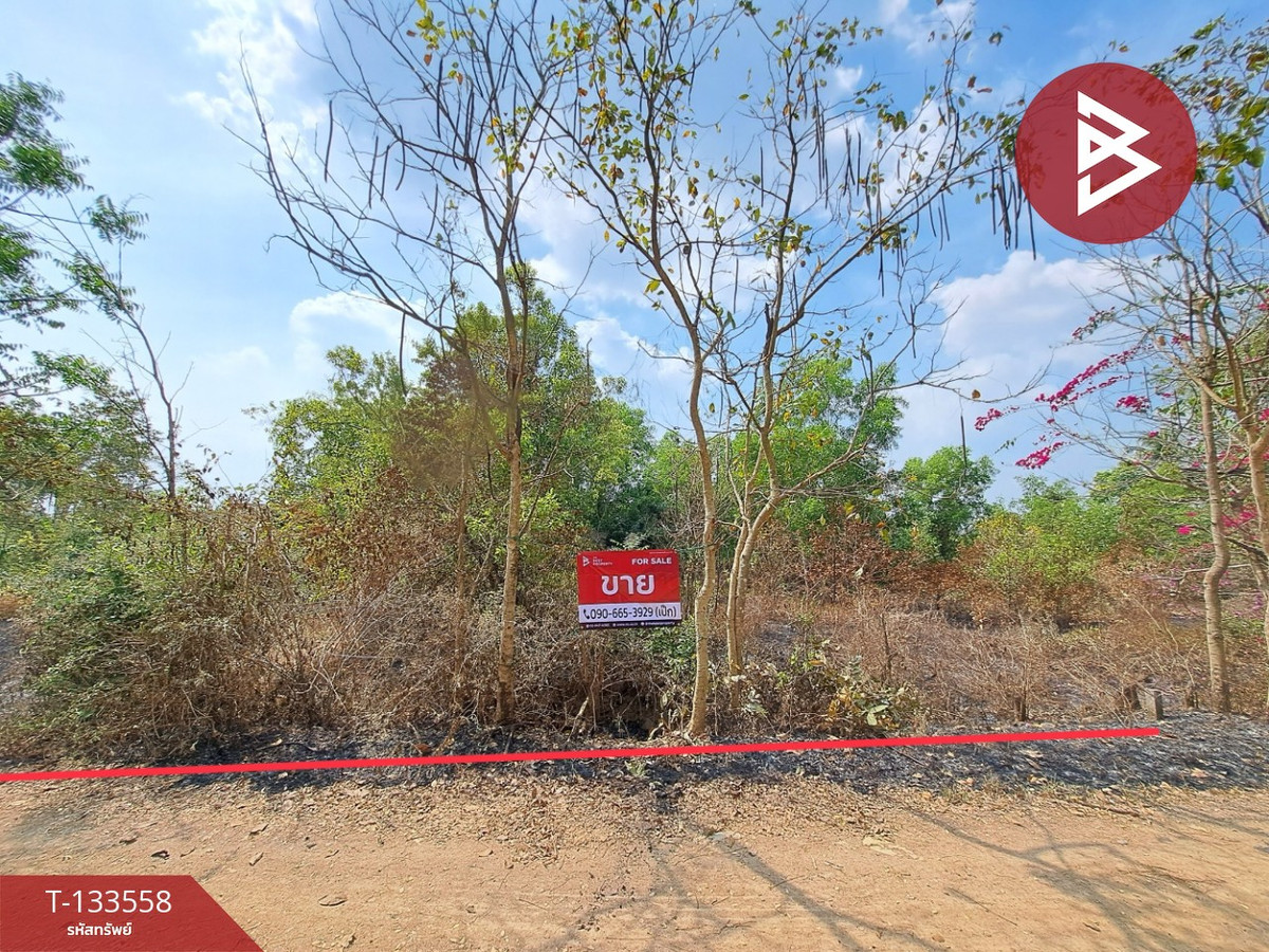 Land for sale, area 1 ngan 43 sq m, Bang Nam Priao, Chachoengsao.