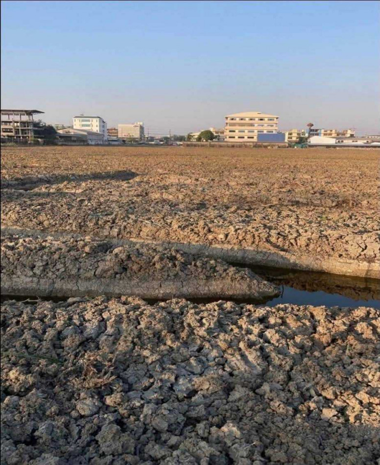 Land for sale, dark purple zone, 22 rai 3 ngan 16 square wah, adjacent to Phetkasem Road. – รูปที่ 2