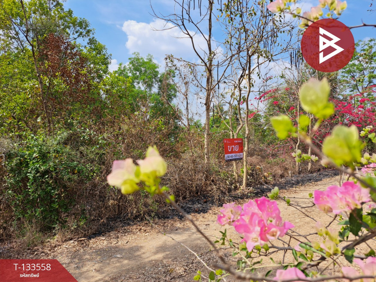 Land for sale, area 1 ngan 43 sq m, Bang Nam Priao, Chachoengsao. – รูปที่ 4