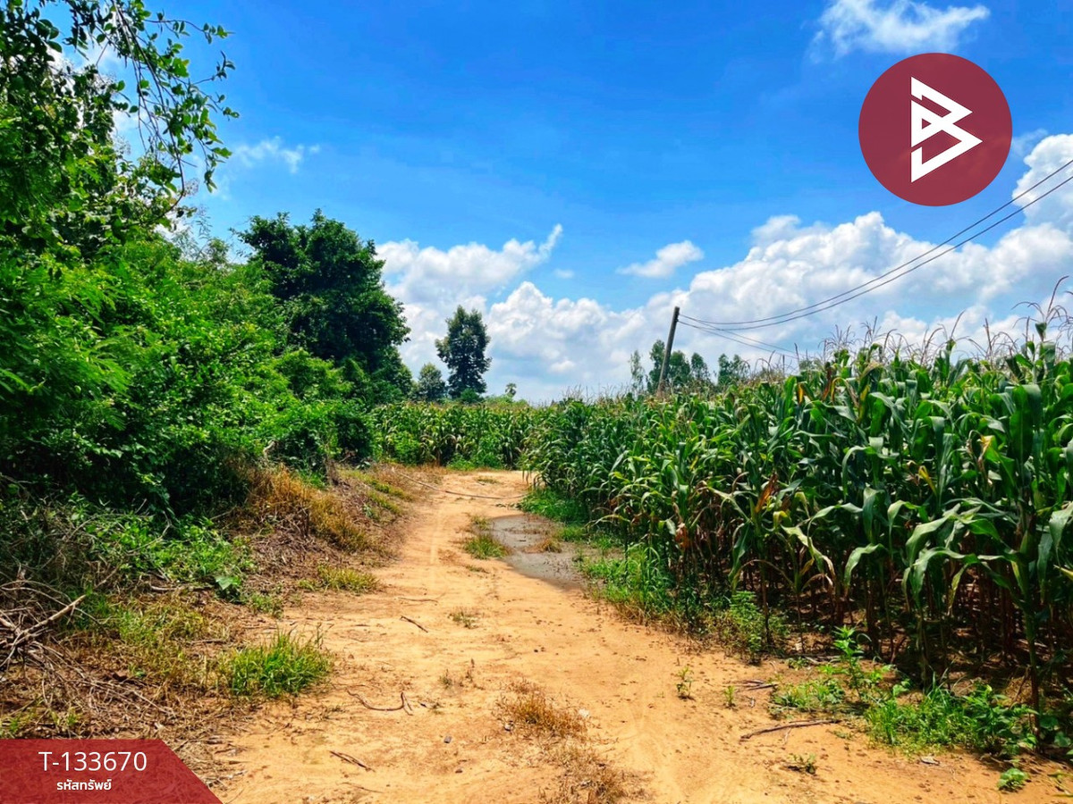 Land for sale, area 10 rai 2 ngan 70 sq m, Manorom, Chainat. – รูปที่ 4
