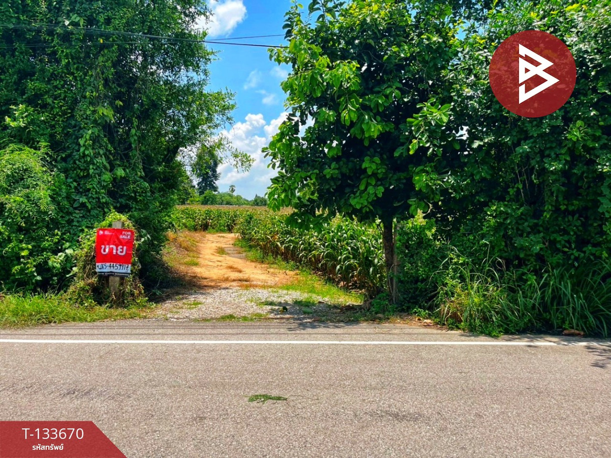 Land for sale, area 10 rai 2 ngan 70 sq m, Manorom, Chainat. – รูปที่ 2