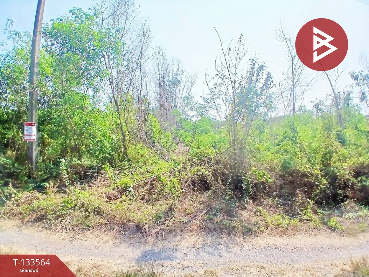 ขายที่ดิน 3 แปลง เนื้อที่แปลงละ 2 ไร่ องครักษ์ นครนายก – รูปที่ 3