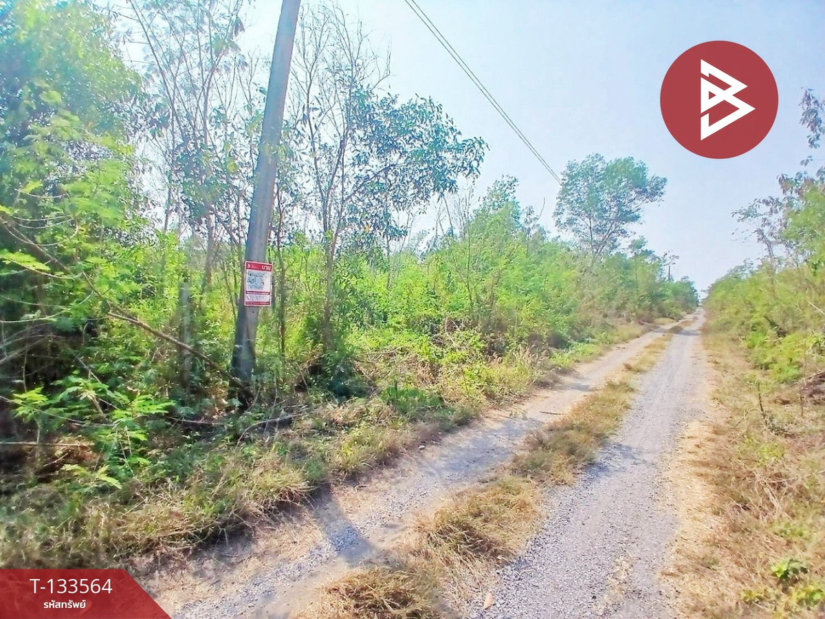 ขายที่ดิน 3 แปลง เนื้อที่แปลงละ 2 ไร่ องครักษ์ นครนายก – รูปที่ 4