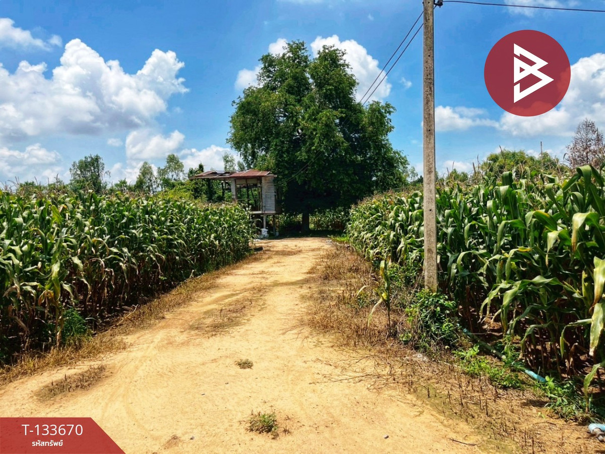 Land for sale, area 10 rai 2 ngan 70 sq m, Manorom, Chainat. – รูปที่ 3