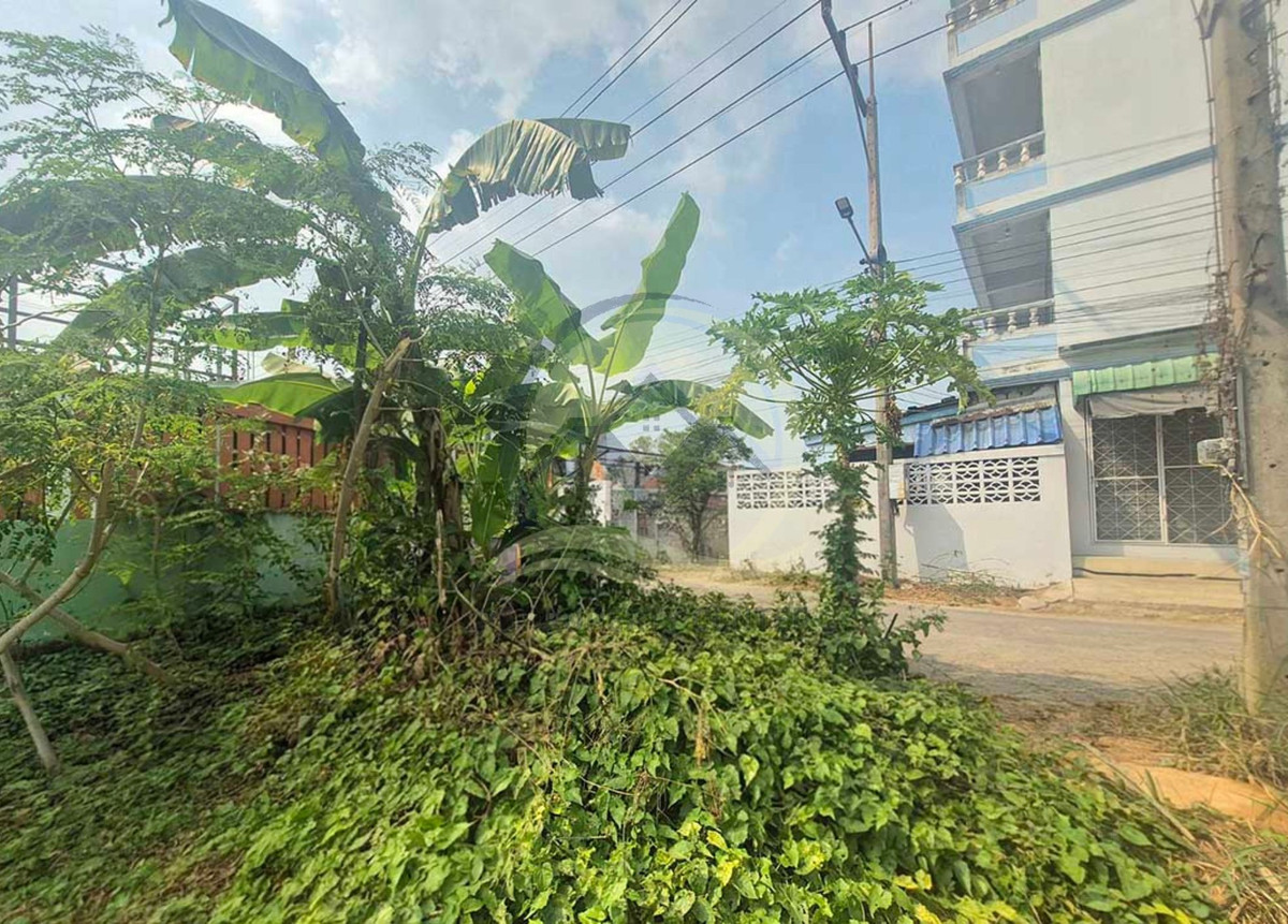 Vacant land 75 square wah, Soi Sukhapiban 2, Soi 3, Soi Krathum Lom 33, Phutthamonthon Sai 4 Road, Samut Sakhon, urgent sale, beautiful plot of land, special price, worth the investment. – รูปที่ 3