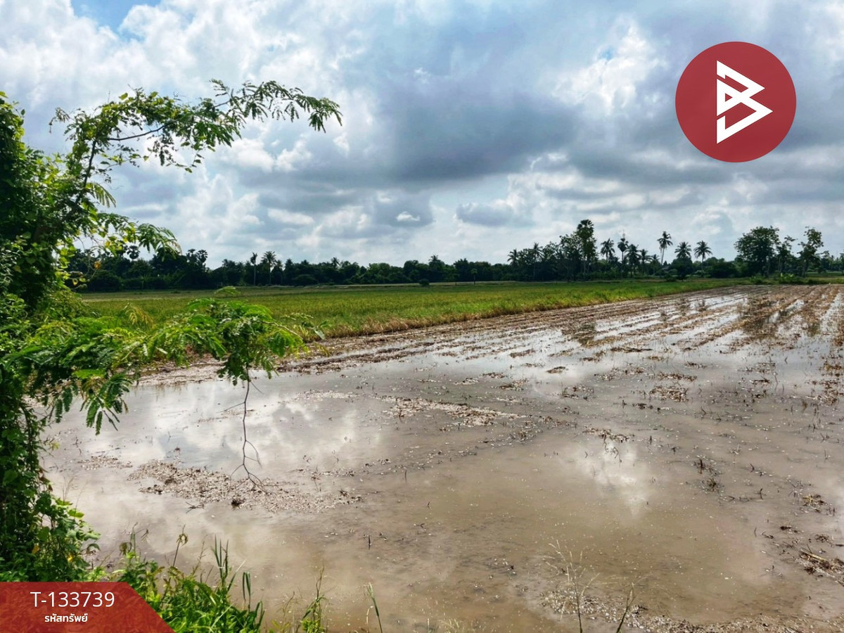 ขายที่ดิน เนื้อที่ 3 ไร่ 1 งาน 5.9 ตร.วา สรรพยา ชัยนาท – รูปที่ 4
