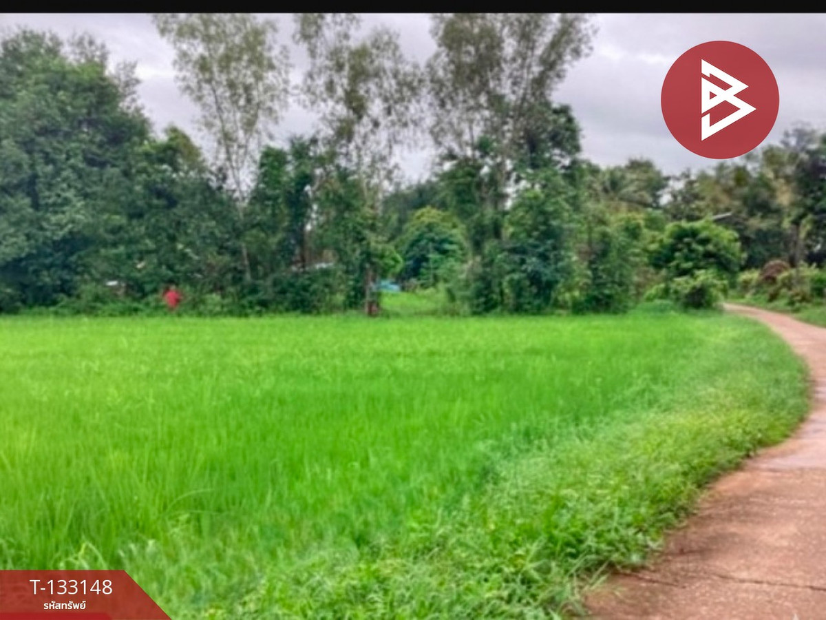 ขายที่ดิน เนื้อที่ 2 ไร่ 1 งาน 47 ตร.วา บ้านด่าน อุตรดิตถ์ – รูปที่ 2