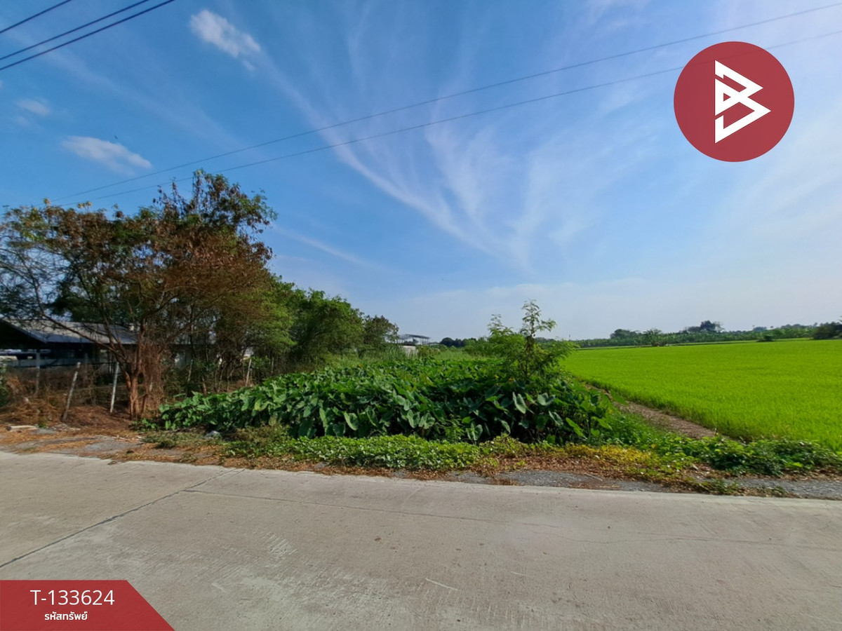 ขายที่ดิน เนื้อที่ 1 งาน 5 ตร.วา ไทรน้อย นนทบุรี – รูปที่ 4
