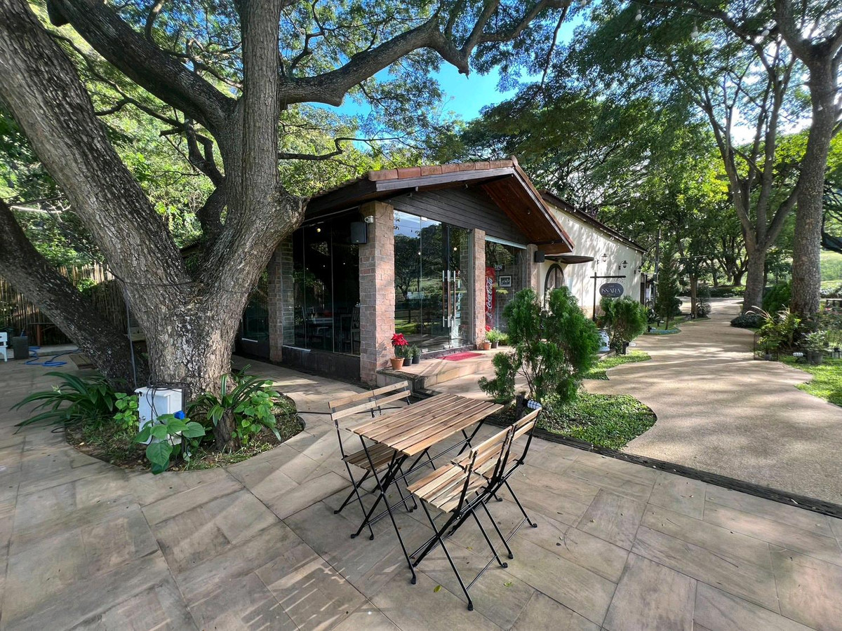 ที่ดินสวย หมวกเหล็ก-เขาใหญ่ – รูปที่ 2