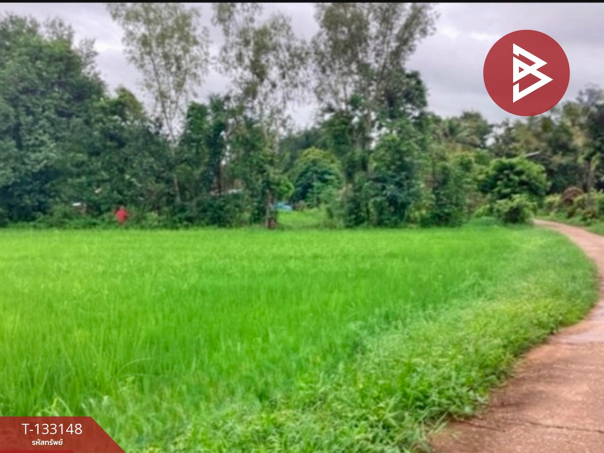 ขายที่ดิน เนื้อที่ 2 ไร่ 1 งาน 47 ตร.วา บ้านด่าน อุตรดิตถ์ – รูปที่ 4