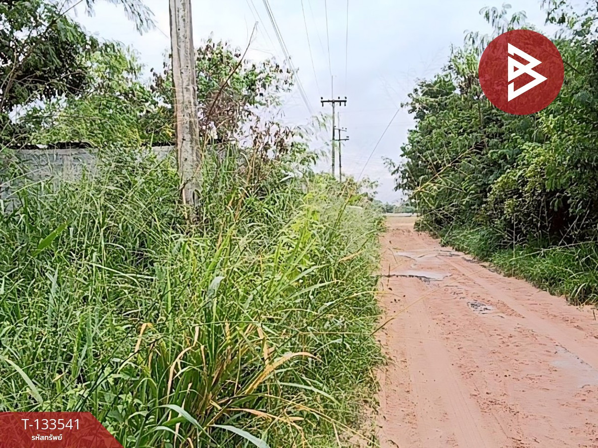 ขายที่ดิน เนื้อที่ 99 ตร.วา ปักธงชัย นครราชสีมา – รูปที่ 2