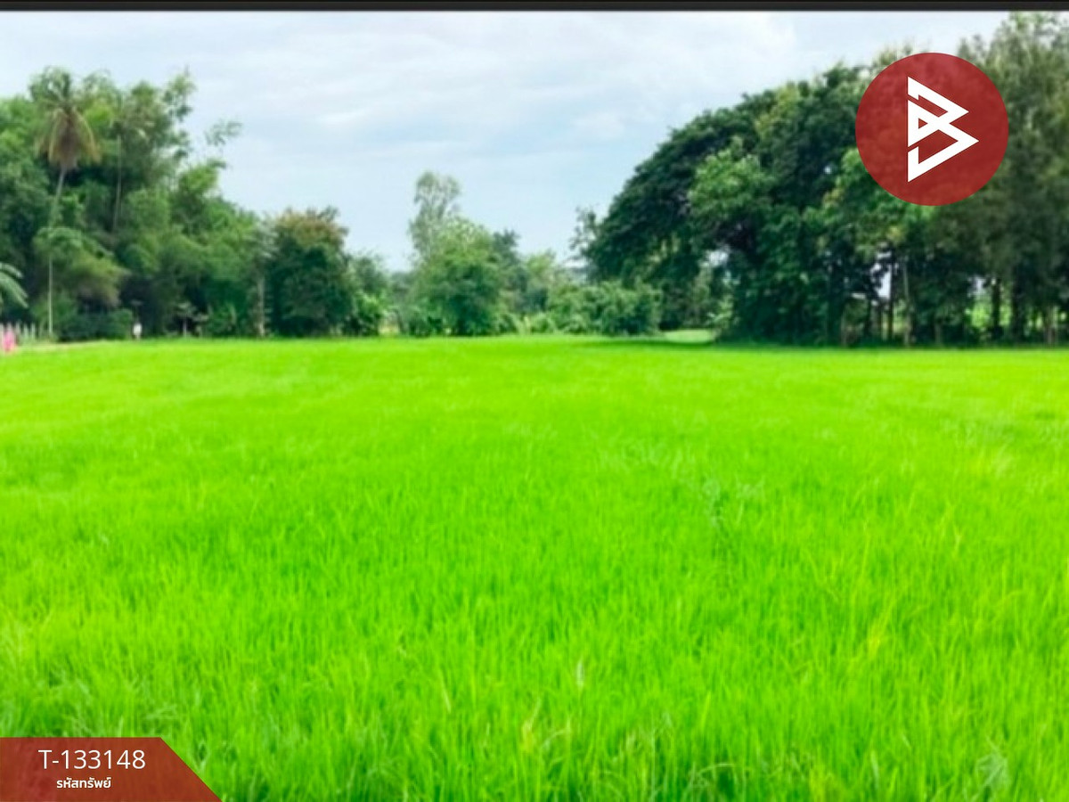 ขายที่ดิน เนื้อที่ 2 ไร่ 1 งาน 47 ตร.วา บ้านด่าน อุตรดิตถ์ – รูปที่ 3