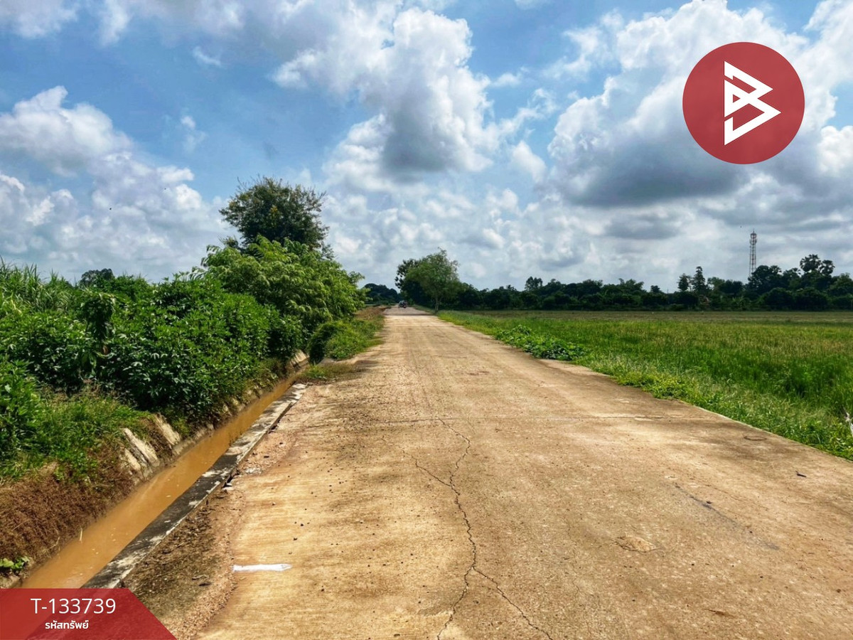 ขายที่ดิน เนื้อที่ 3 ไร่ 1 งาน 5.9 ตร.วา สรรพยา ชัยนาท – รูปที่ 3