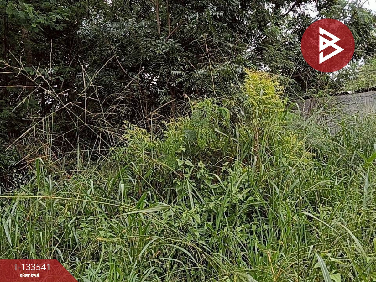 ขายที่ดิน เนื้อที่ 99 ตร.วา ปักธงชัย นครราชสีมา – รูปที่ 4