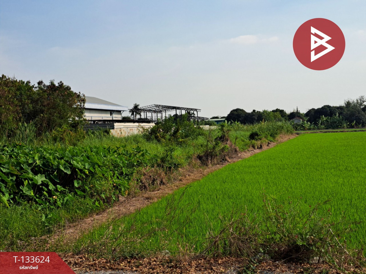 ขายที่ดิน เนื้อที่ 1 งาน 5 ตร.วา ไทรน้อย นนทบุรี ขายที่ดิน เนื้อที่ 1 งาน 5 ตร.วา ไทรน้อย นนทบุรี