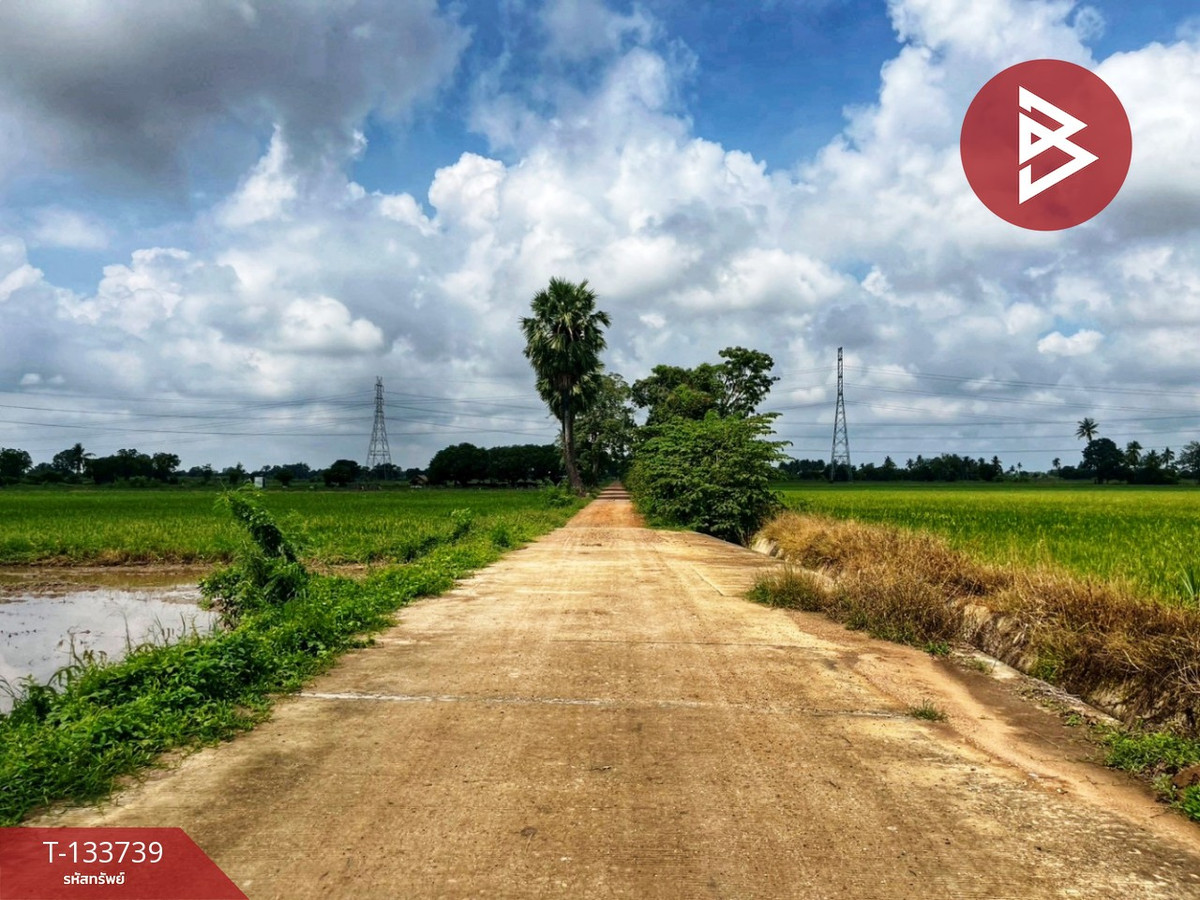 ขายที่ดิน เนื้อที่ 3 ไร่ 1 งาน 5.9 ตร.วา สรรพยา ชัยนาท – รูปที่ 2