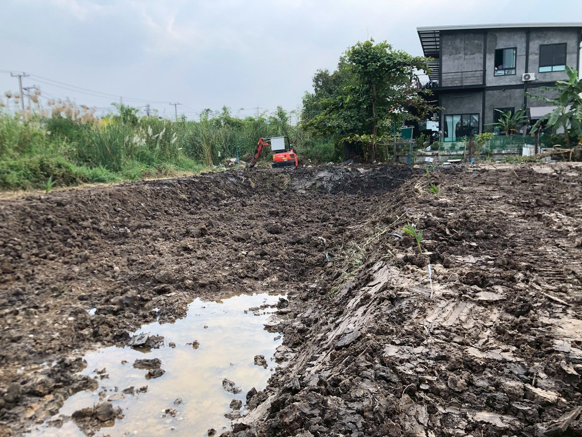 ขาย ให้เช่าที่ดิน 102 ตร.วา ซอยสุขาประชาสรรค์ 3 ซอย 21 ใกล้แยกสวนสมเด็จ ปากเกร็ด นนทบุรี – รูปที่ 4