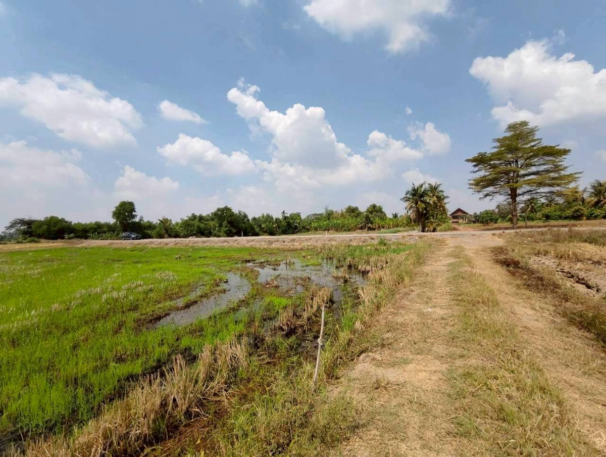 Urgent sale! Bang Nam Priao land, 15 rai, 1 ngan, 34 square wah, next to a public paved road, prime location, cheapest price in this area. – รูปที่ 3